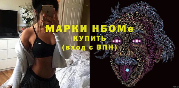 хмурый Верея